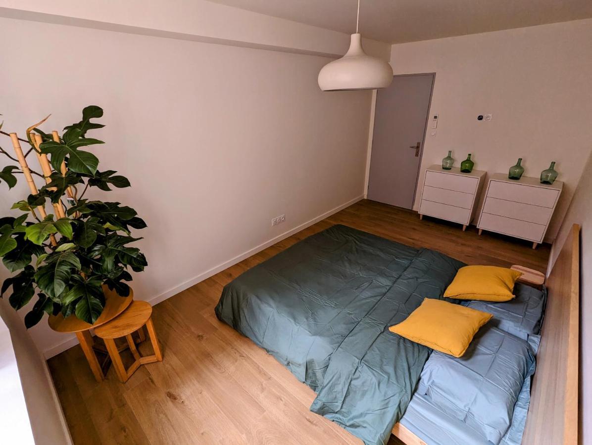 Douceur, Elegance Au Coeur D'Albi Appartement Buitenkant foto