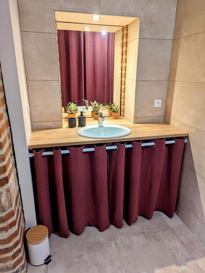 Douceur, Elegance Au Coeur D'Albi Appartement Buitenkant foto